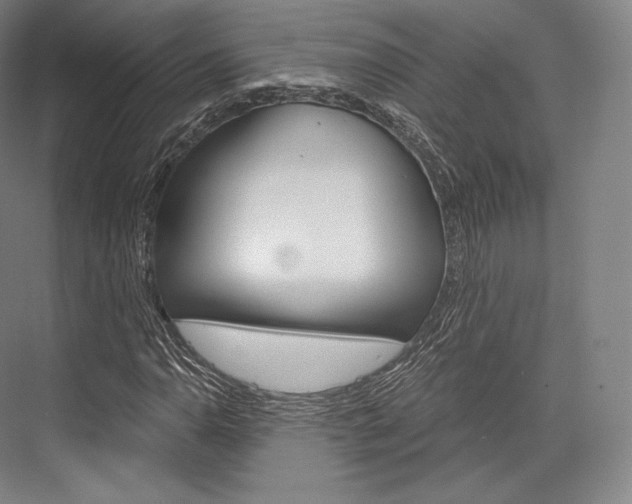 X0000076391110200610060856