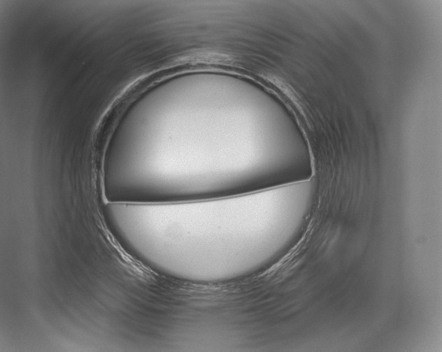 X0000076391115200610060856