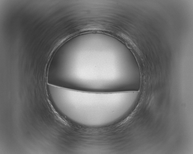 X0000076391129200610060857