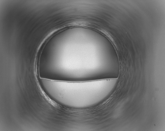 X0000076391131200610060857