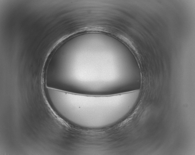 X0000076391133200610060857