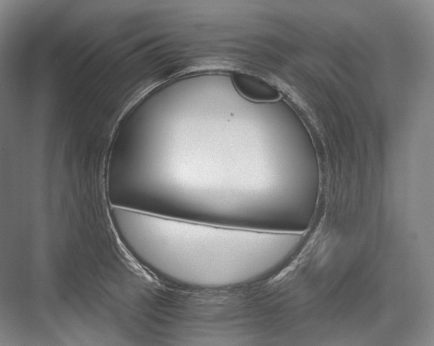 X0000076391137200610060857