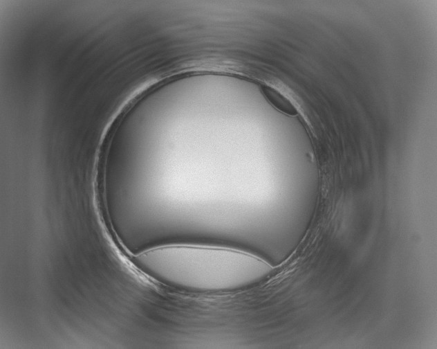 X0000076391139200610060857