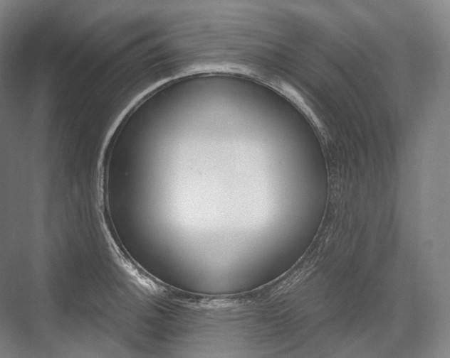 X0000076391140200610060857