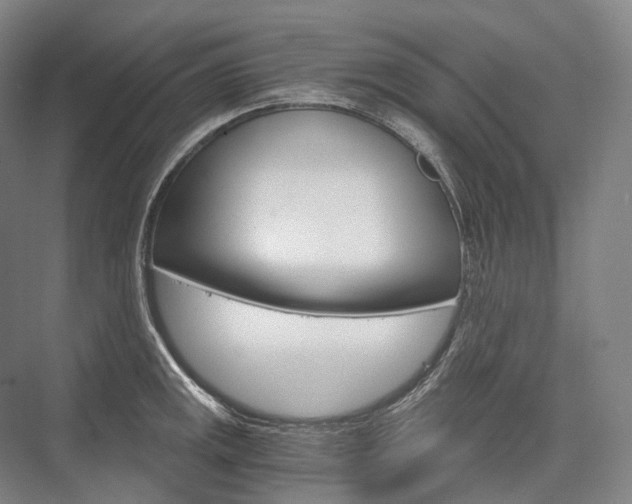 X0000076391141200610060857