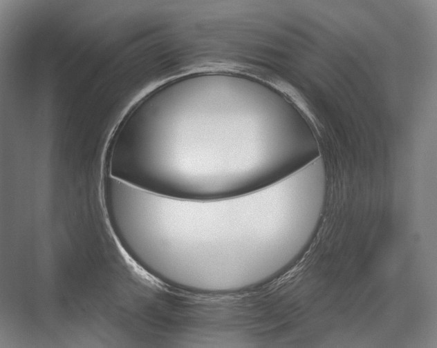X0000076391143200610060857
