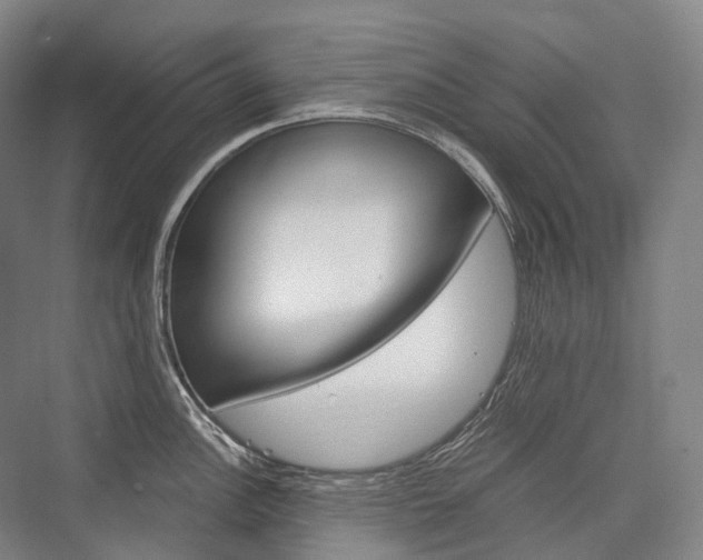X0000076391148200610060857