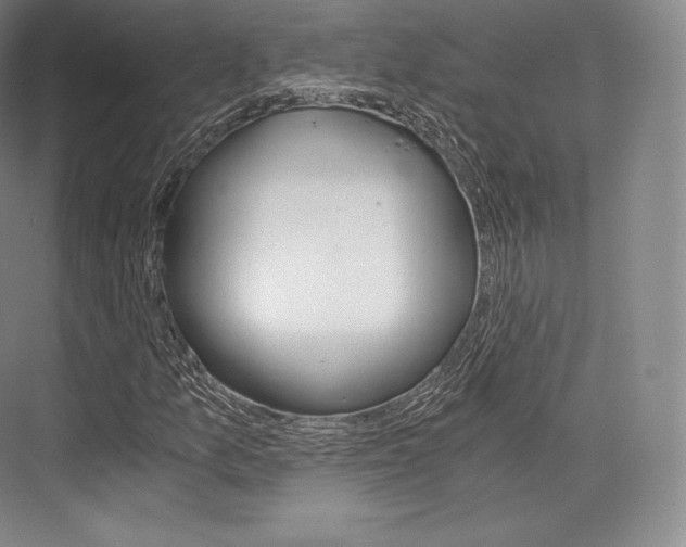 X0000076391157200610060856