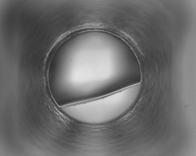 X0000076391168200610060856