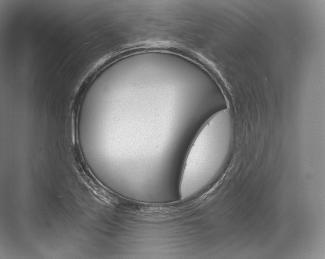 X0000076391171200610060856