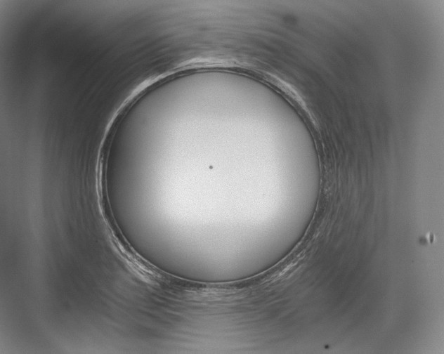 X0000076391179200610060856