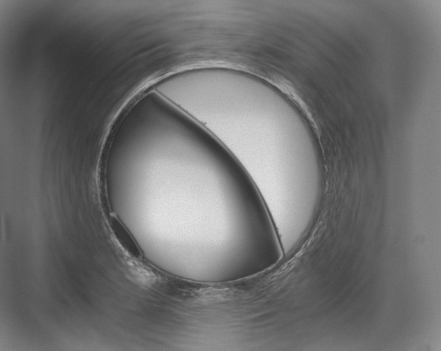X0000076391181200610060856