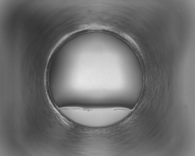 X0000076391183200610060856