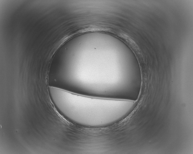 X0000076391185200610060856