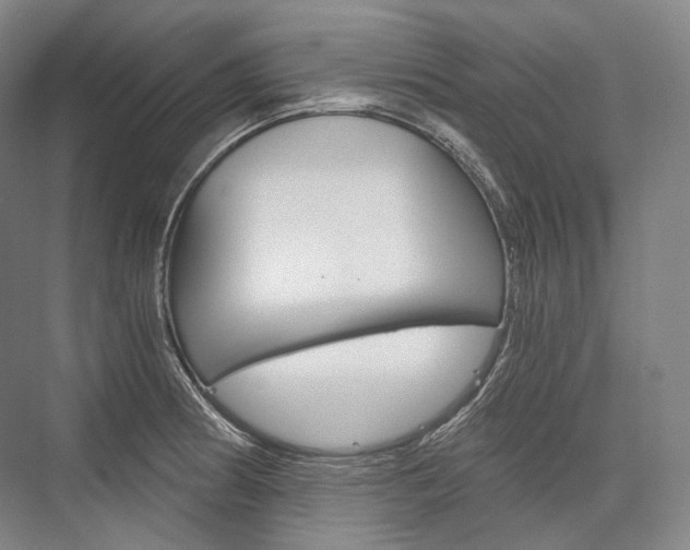X0000076391186200610060856