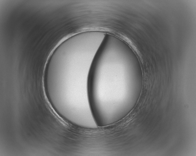 X0000076391187200610060856