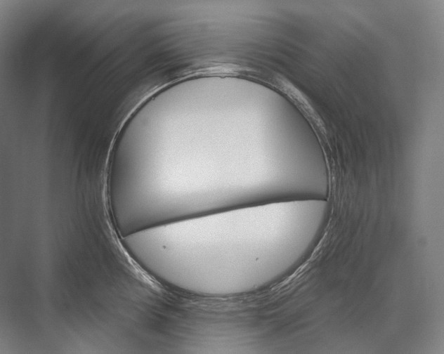 X0000076391194200610060856