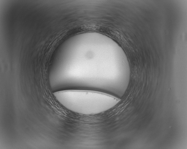 X0000076391201200610060855