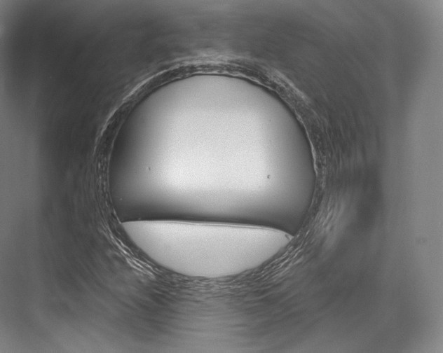 X0000076391208200610060855