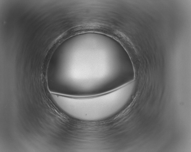 X0000076391210200610060855