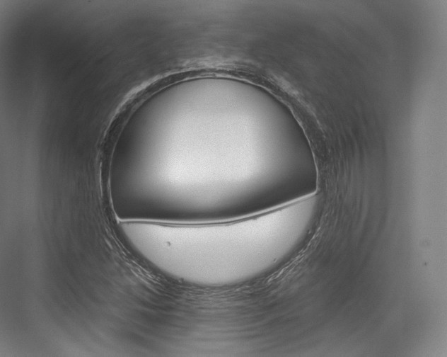 X0000076391214200610060855