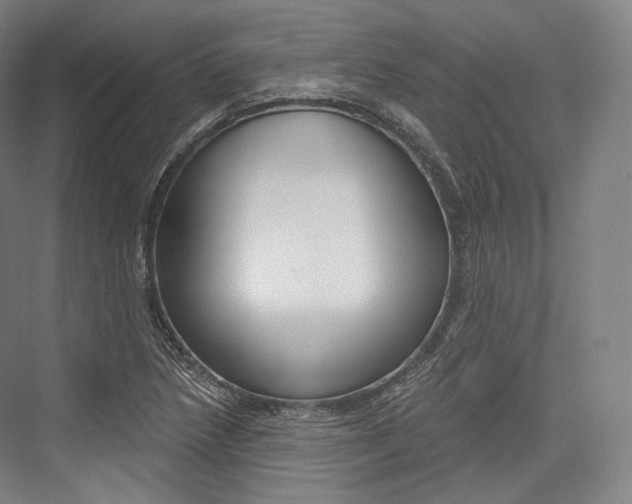 X0000076391218200610060855