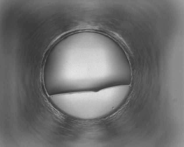 X0000076391220200610060855