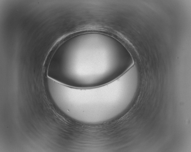 X0000076391222200610060855