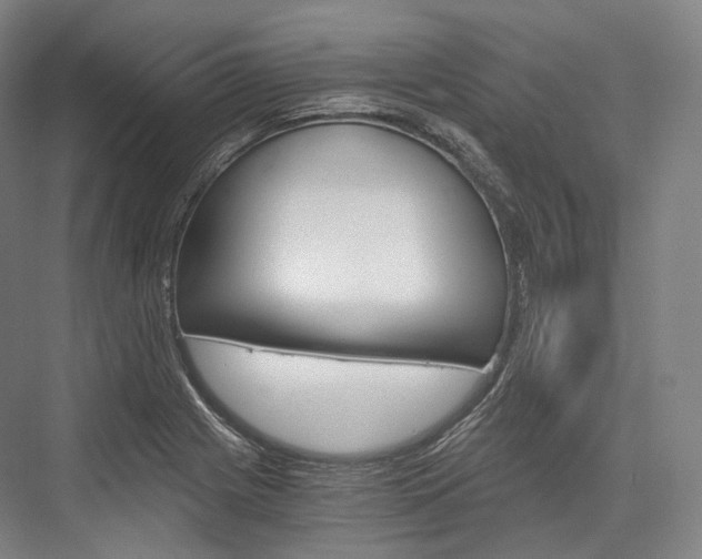 X0000076391225200610060855