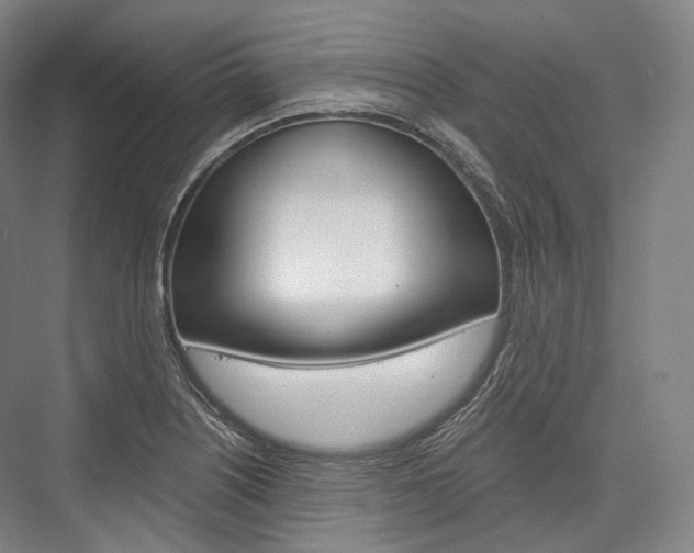 X0000076391226200610060855