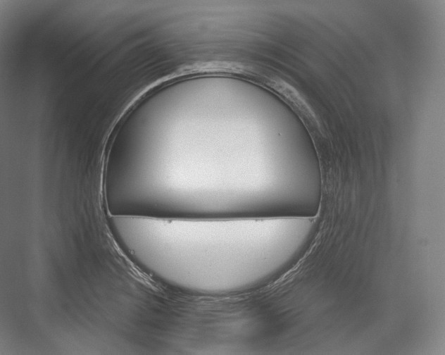 X0000076391228200610060855