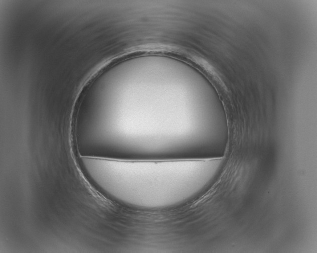 X0000076391229200610060855