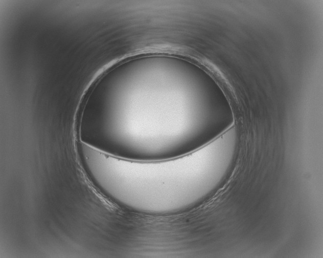X0000076391230200610060855