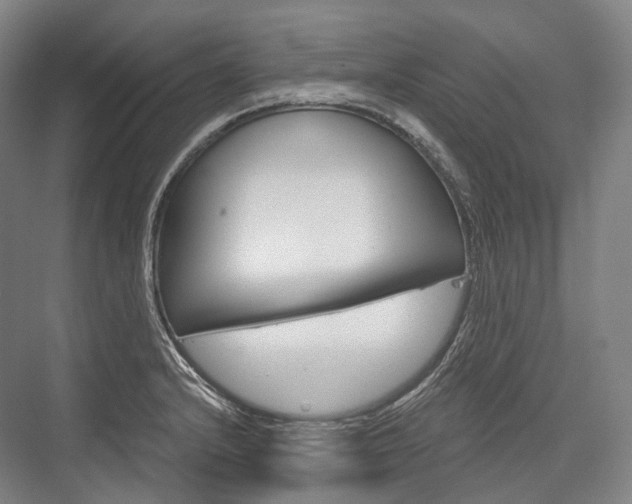X0000076391232200610060855