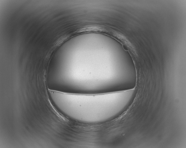 X0000076391233200610060855