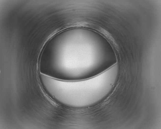 X0000076391234200610060855