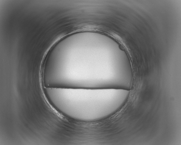 X0000076391235200610060855