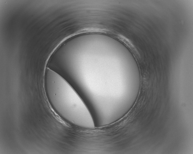 X0000076391236200610060855