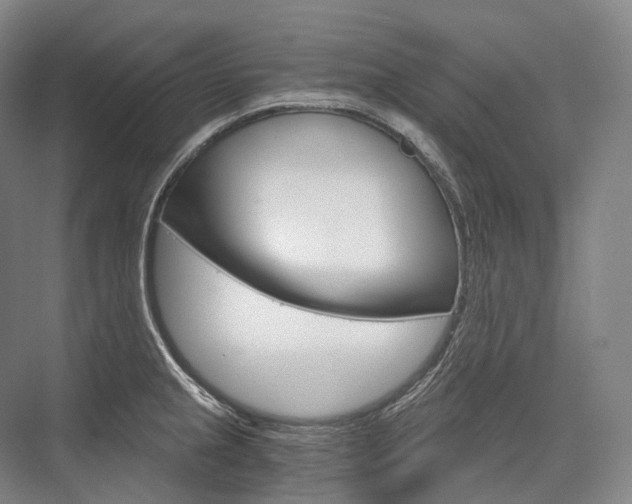 X0000076391237200610060855
