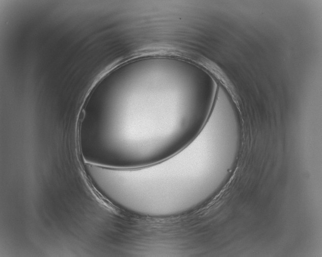 X0000076391242200610060855