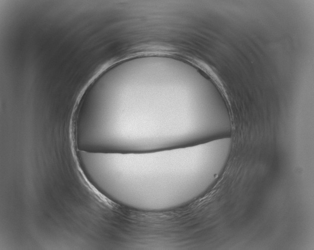 X0000076391243200610060855