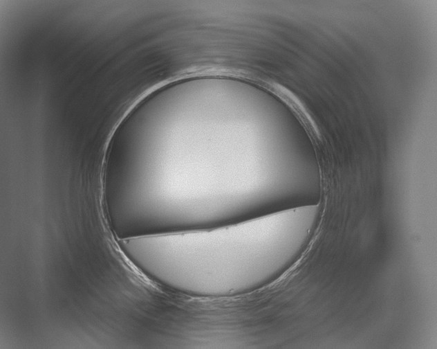 X0000076391244200610060855