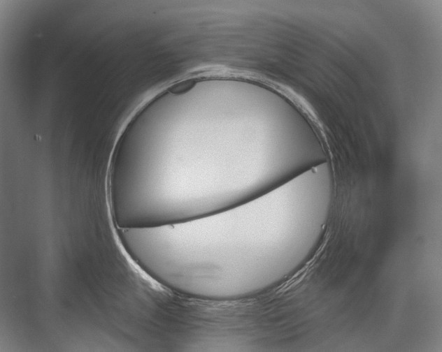 X0000076391247200610060855