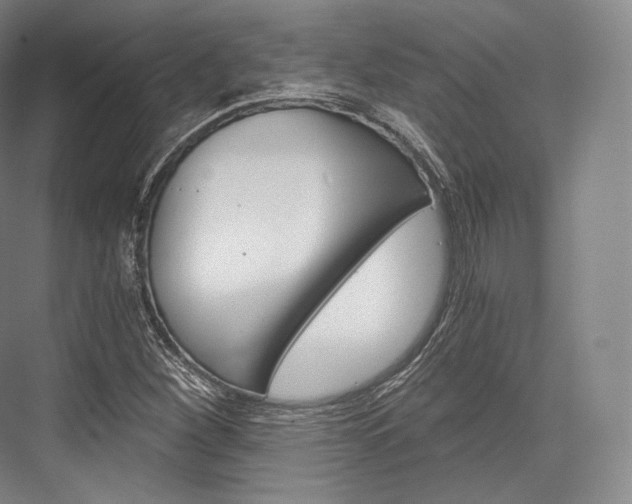X0000076391260200610060854