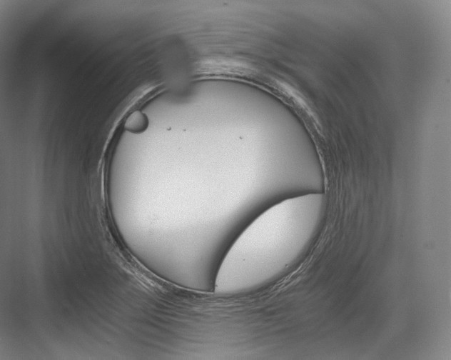 X0000076391275200610060854