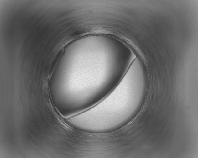 X0000076391281200610060854