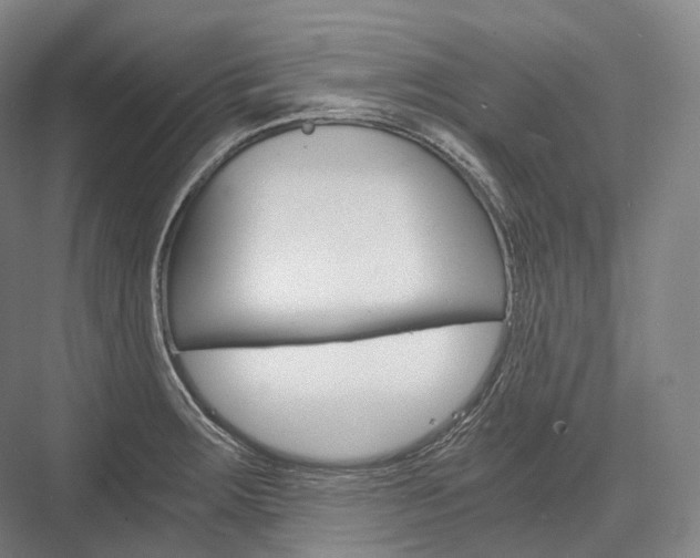 X0000076391283200610060854
