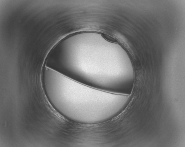 X0000076391284200610060854