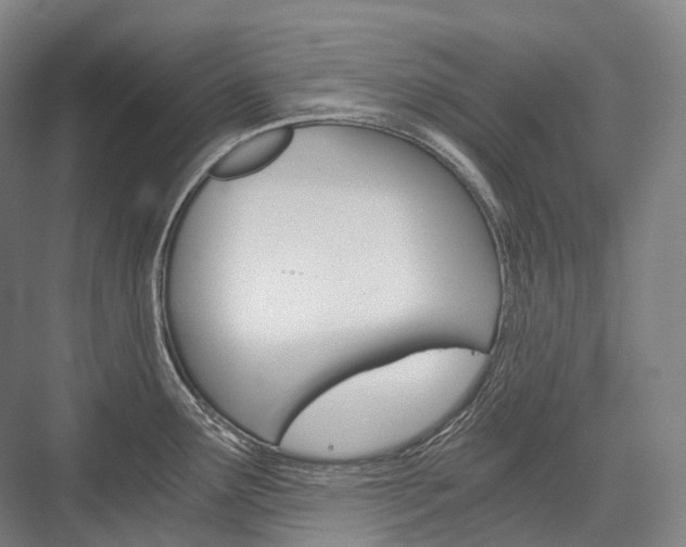X0000076391291200610060854