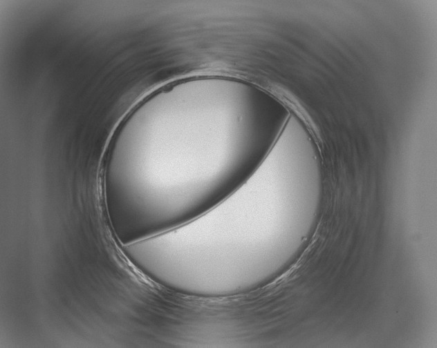 X0000076391292200610060854